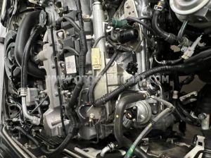 Xe Ford Everest 2.5L 4x2 MT