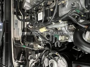 Xe Ford Everest 2.5L 4x2 MT
