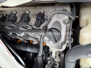 Xe Suzuki Carry Pro