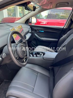 Xe VinFast VF8 Eco AWD