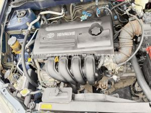 Xe Toyota Corolla altis 1.8G MT