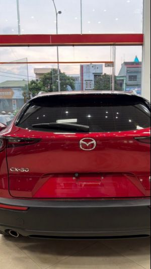 Xe Mazda CX 30 Luxury 2.0 AT