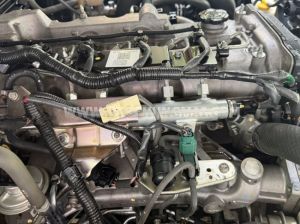 Xe Ford Ranger XL 2.5L 4x2 MT