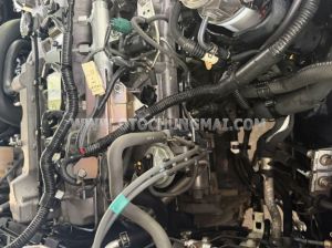 Xe Ford Ranger XL 2.5L 4x2 MT